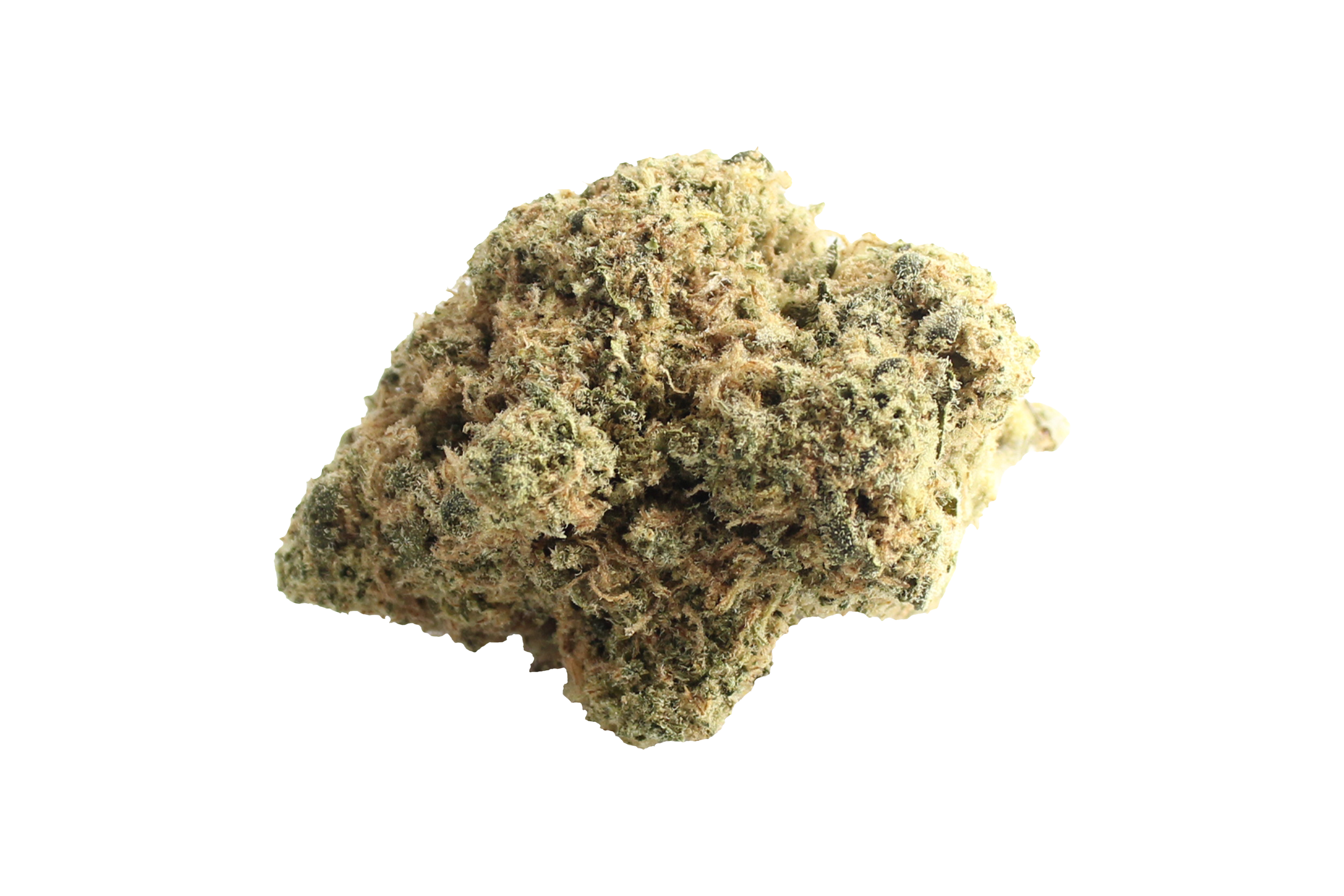 Avaay 23/1 RG Royal Gorilla Cannabisbluete