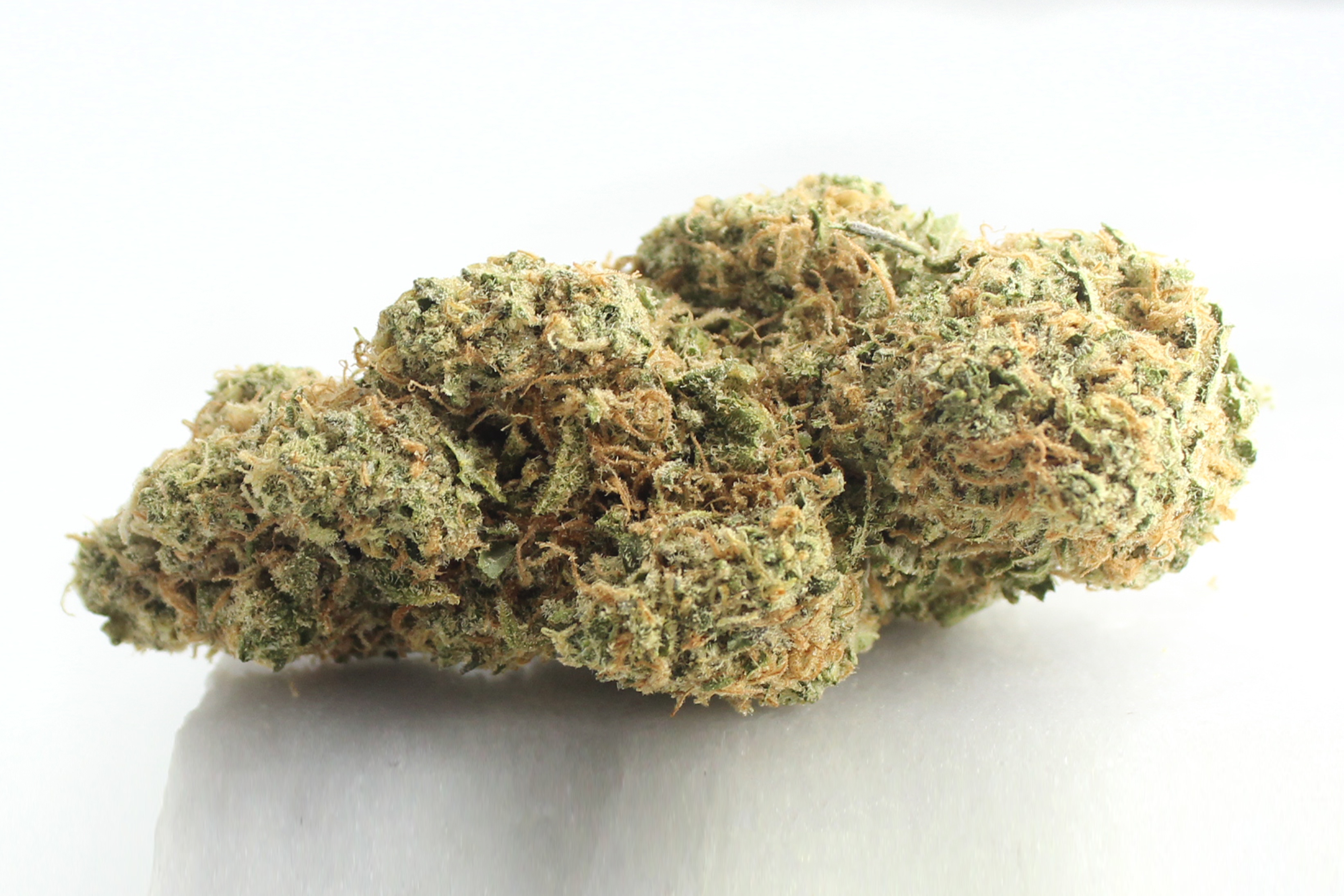 Cannamedical Sativa Forte NM: Gelato Dream