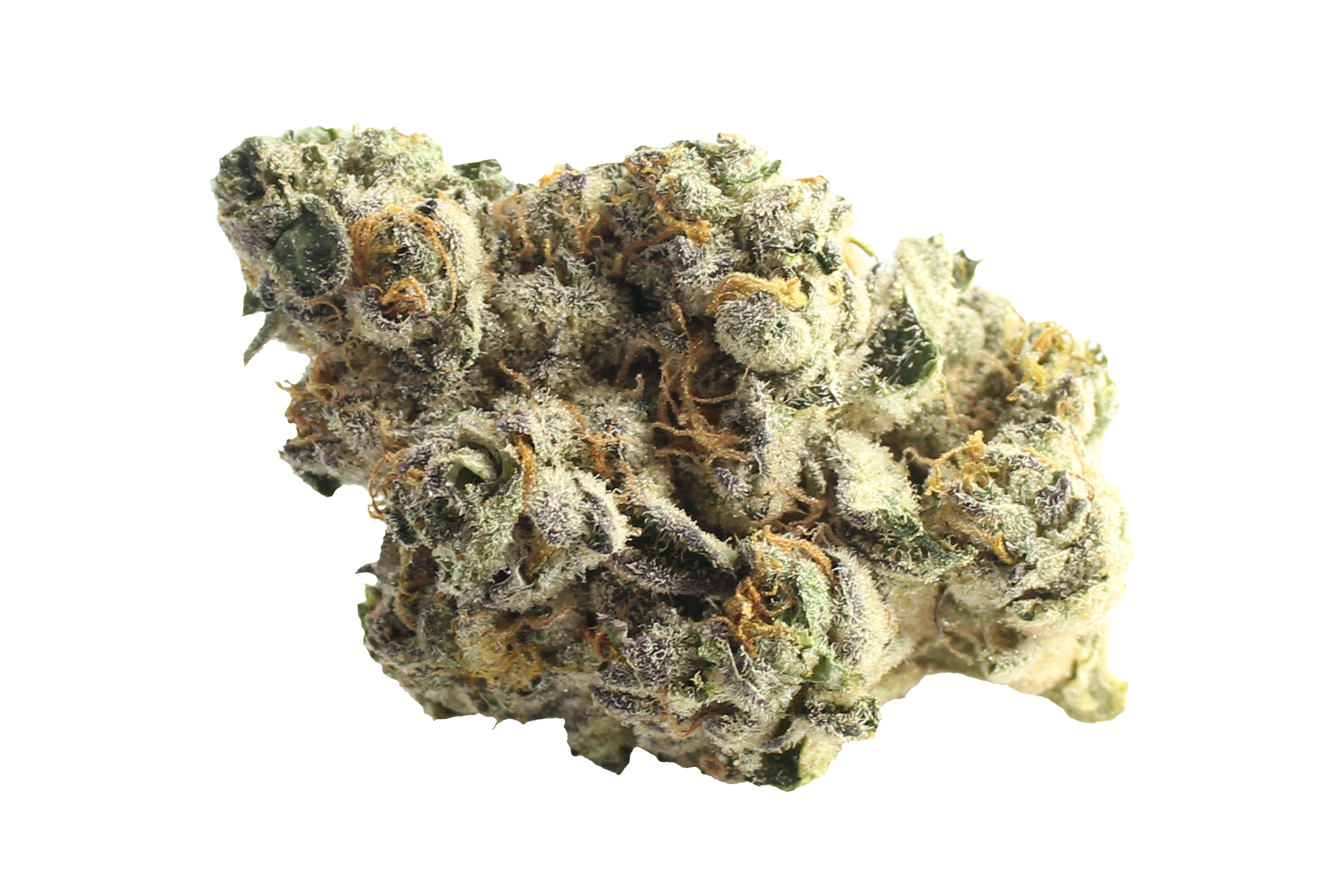 Demecan Core Saxonia 28/1 Wedding Cake x Jet Fuel Gelato Cannabisbluete