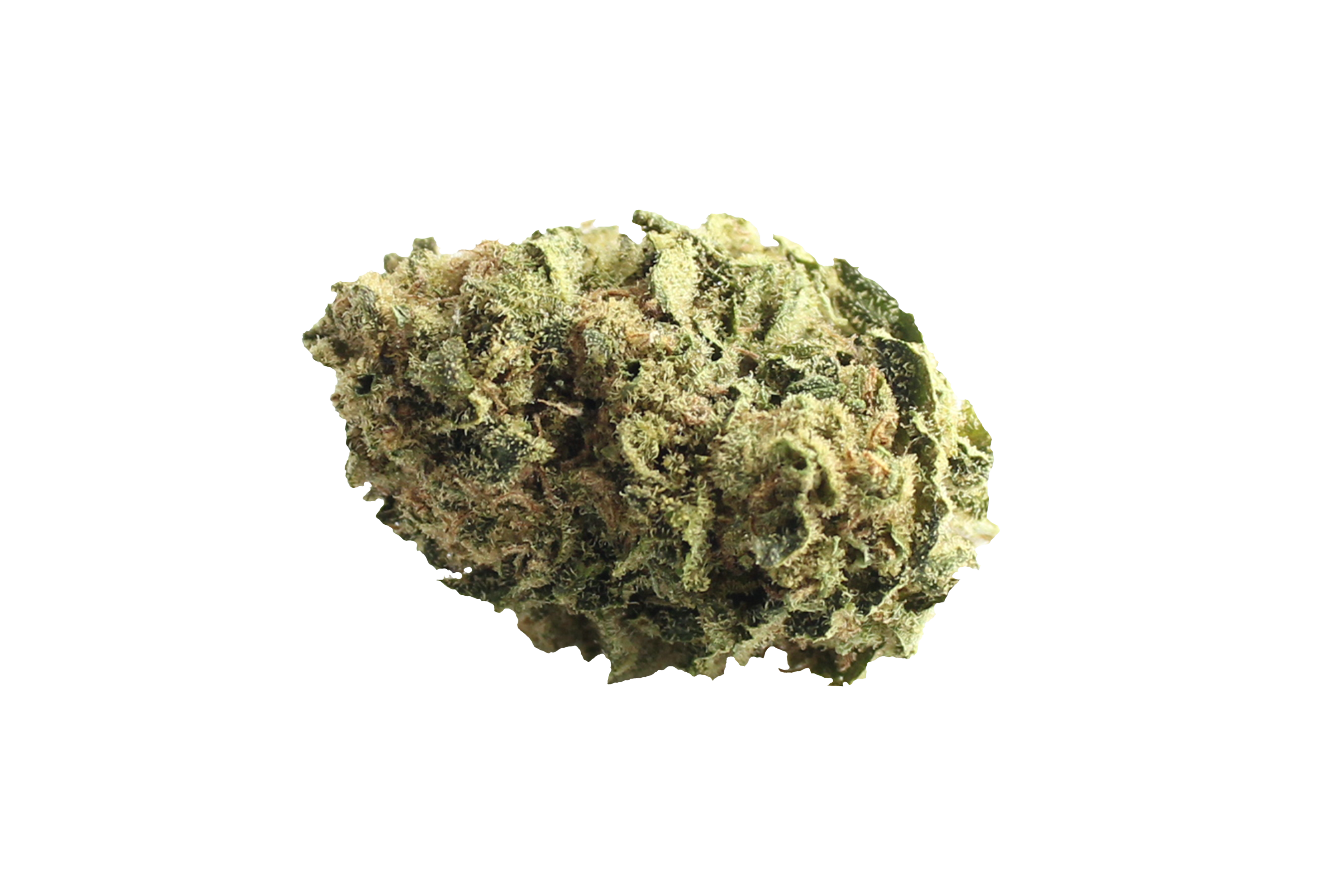 Canify Cannabis Flos 18/1 LS-KU Durban Sky Canify Cannabisbluete