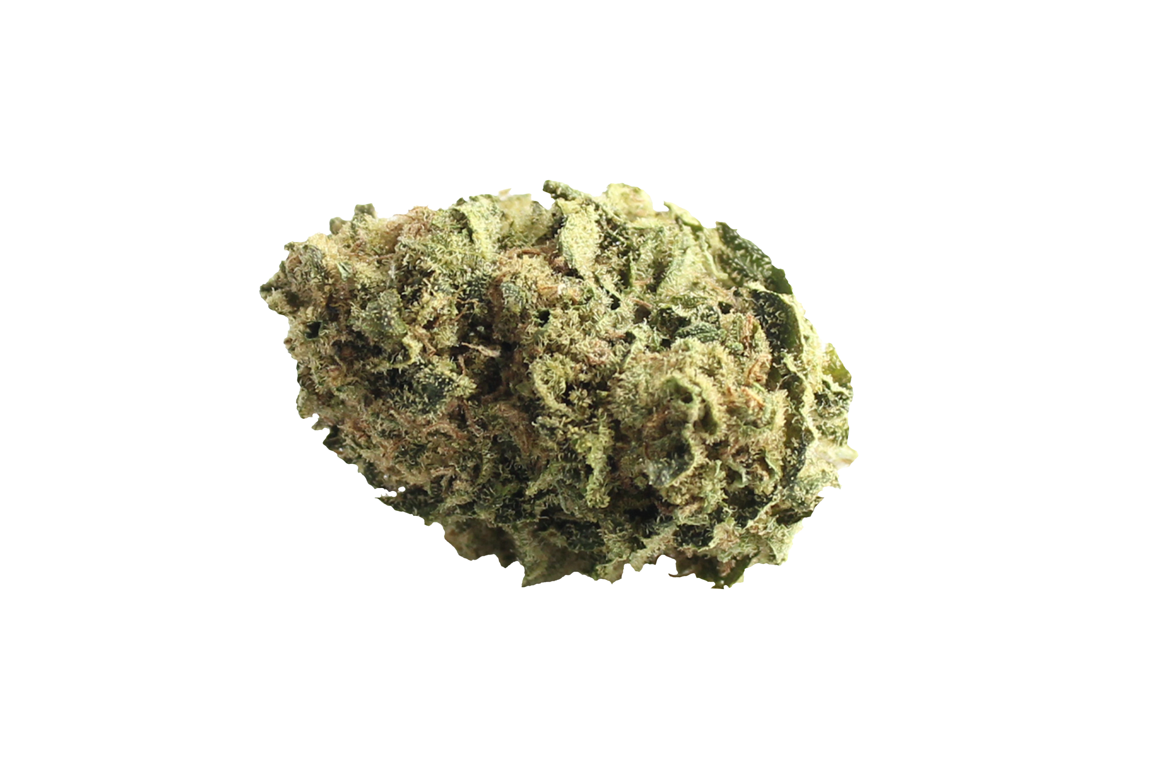 Canify Cannabis Flos 18/1 LS-KU Durban Sky Canify Cannabisbluete