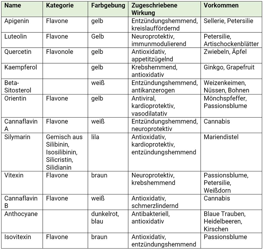 Übersicht Flavonoide