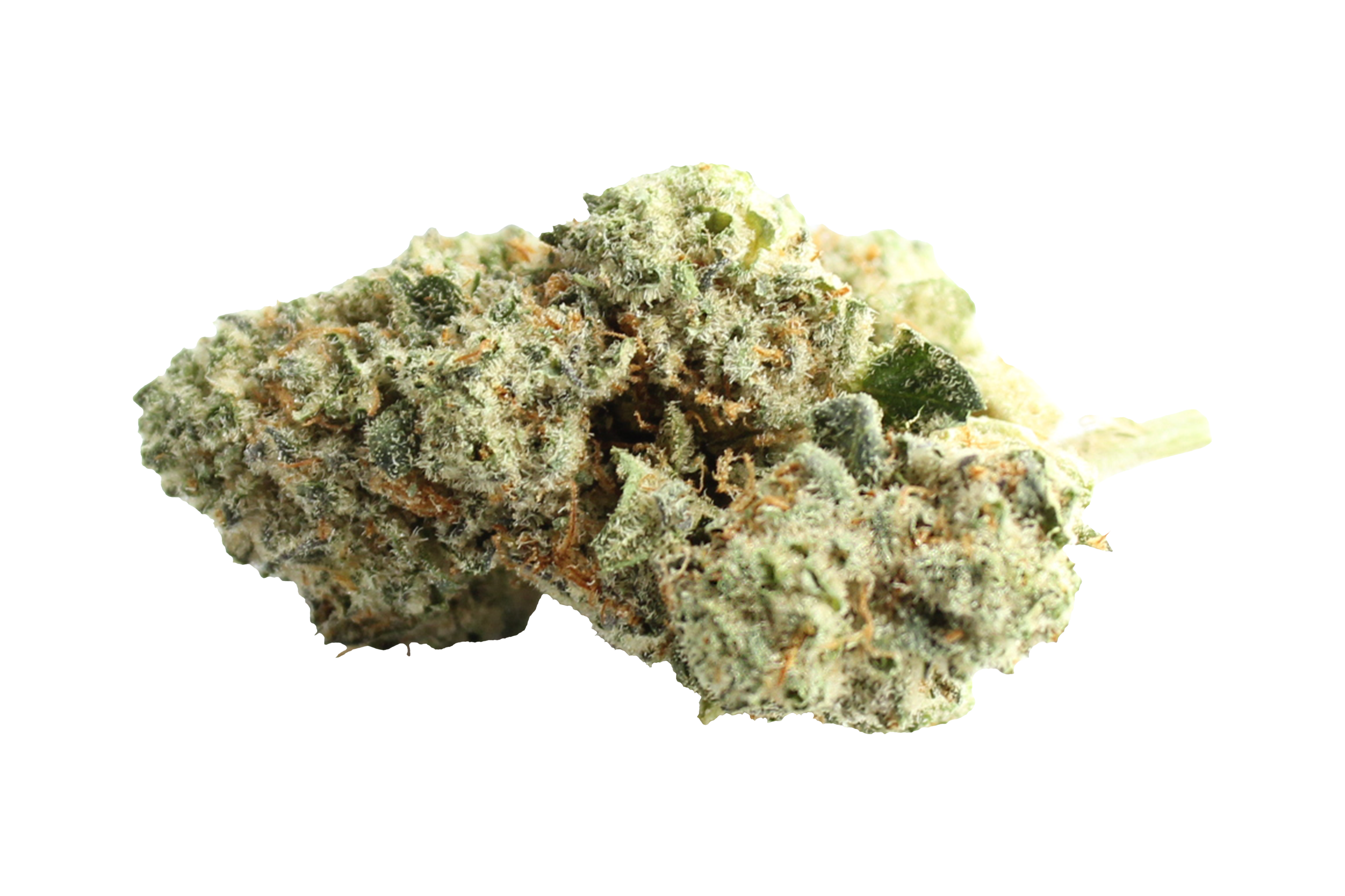 Pedanios 31/1 CMK-CA Chemango Kush Cannabisbluete