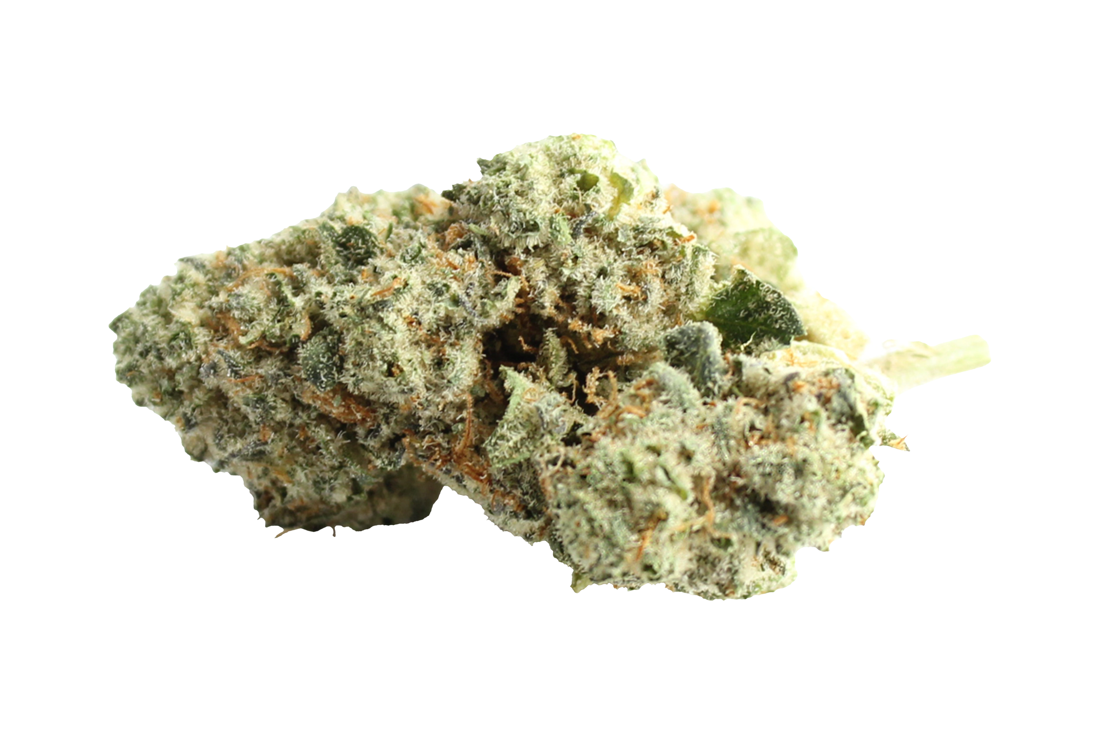 Pedanios 31/1 CMK-CA Chemango Kush Cannabisbluete