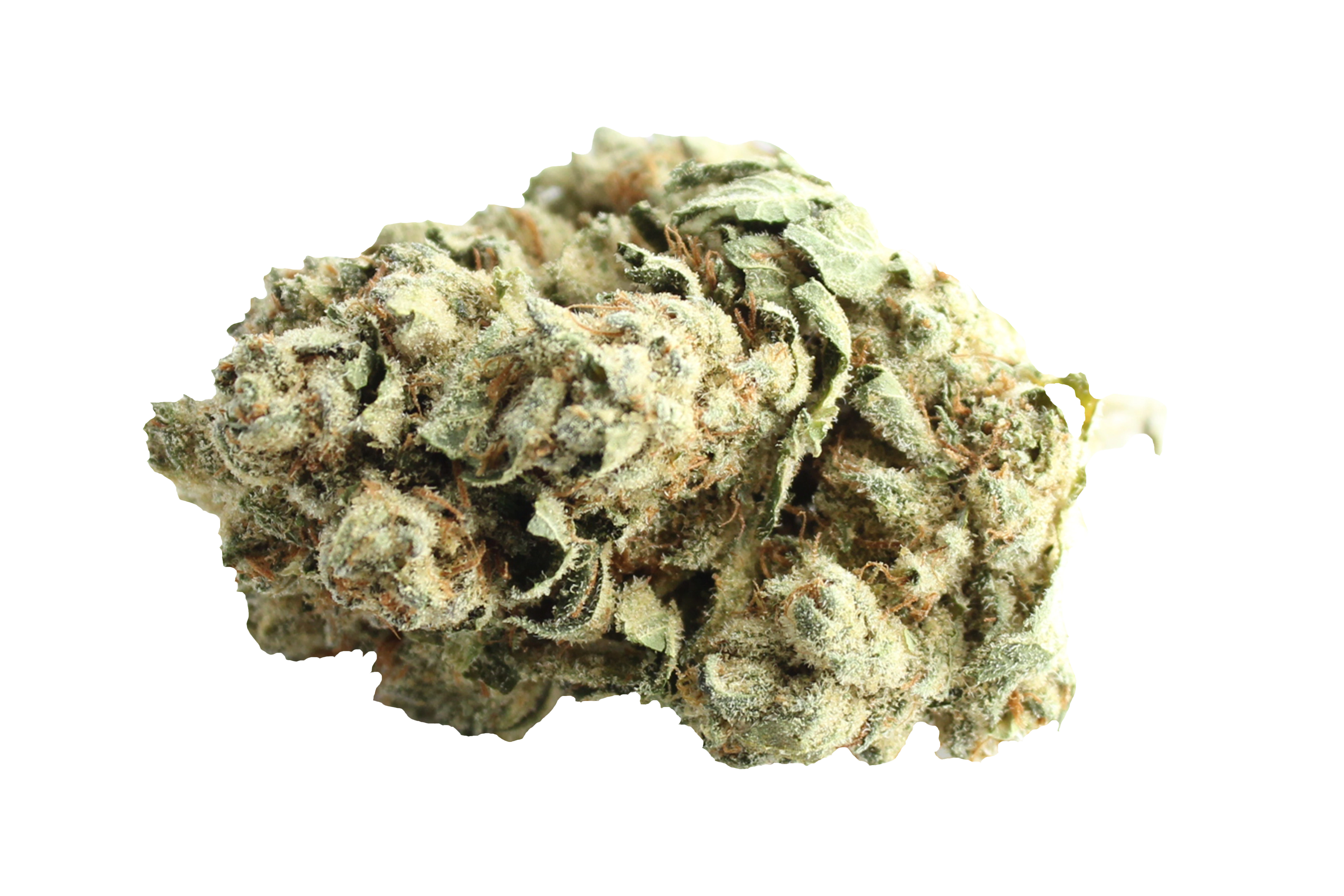 Enua 20/1 JFG CA Jet Fuel Gelato Cannabisbluete