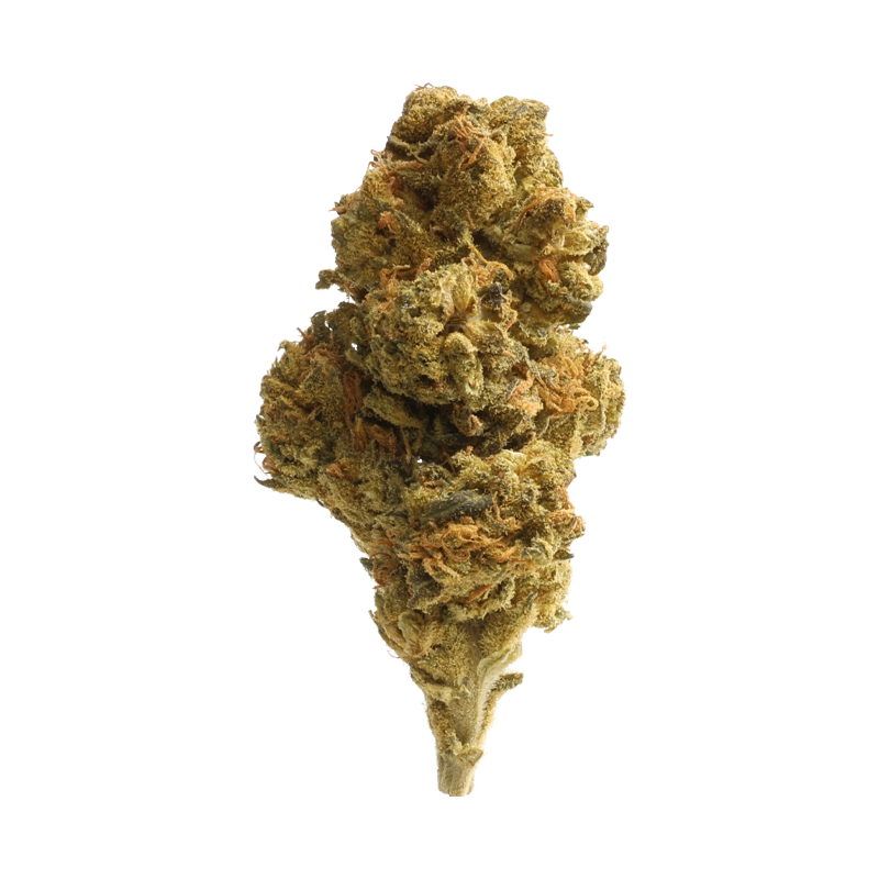 Materia AND 16/1: Andes 