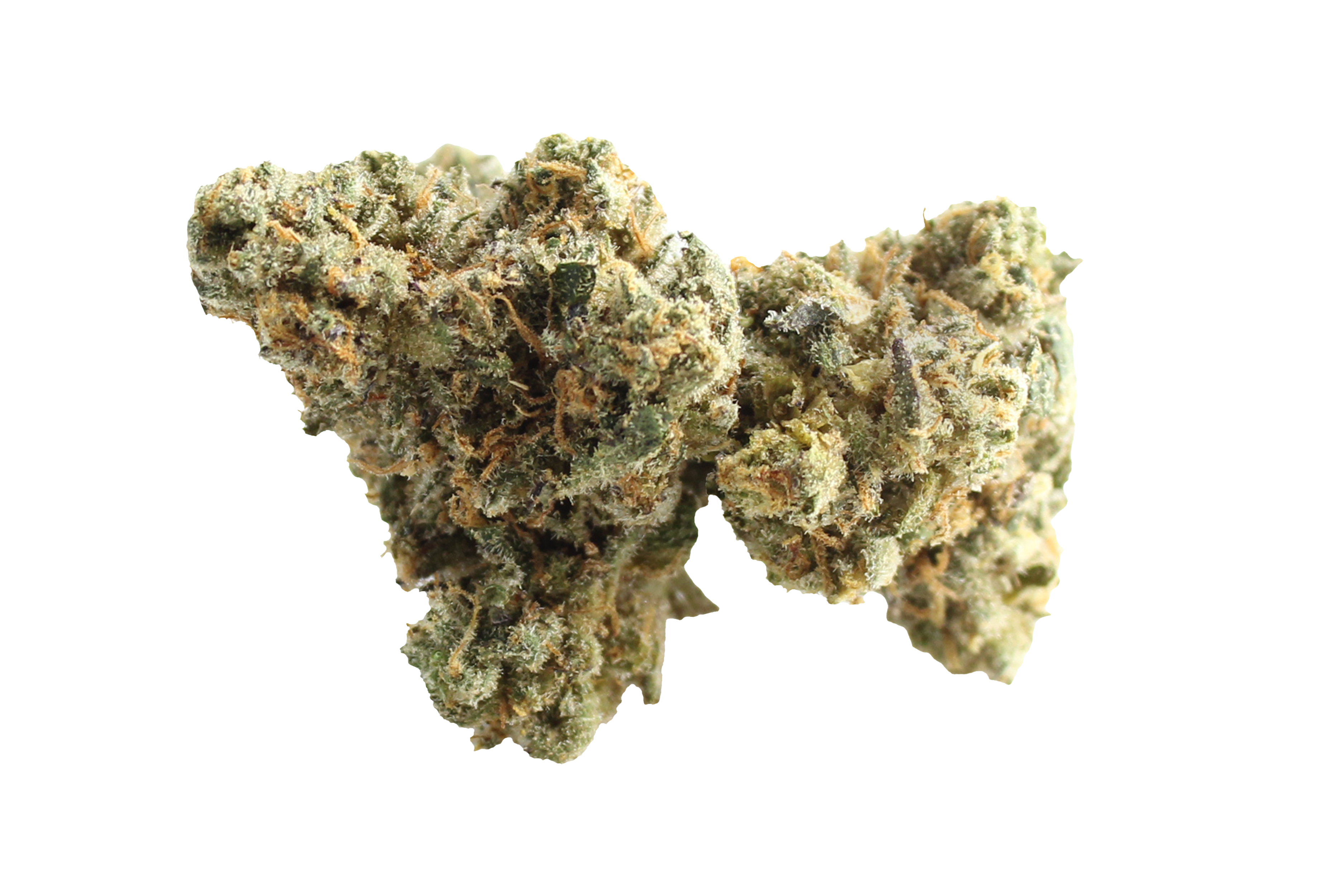 Four20Pharma 420 Evolution 30/1 CA FLM Frozen Lemon Mints Cannabisbluete