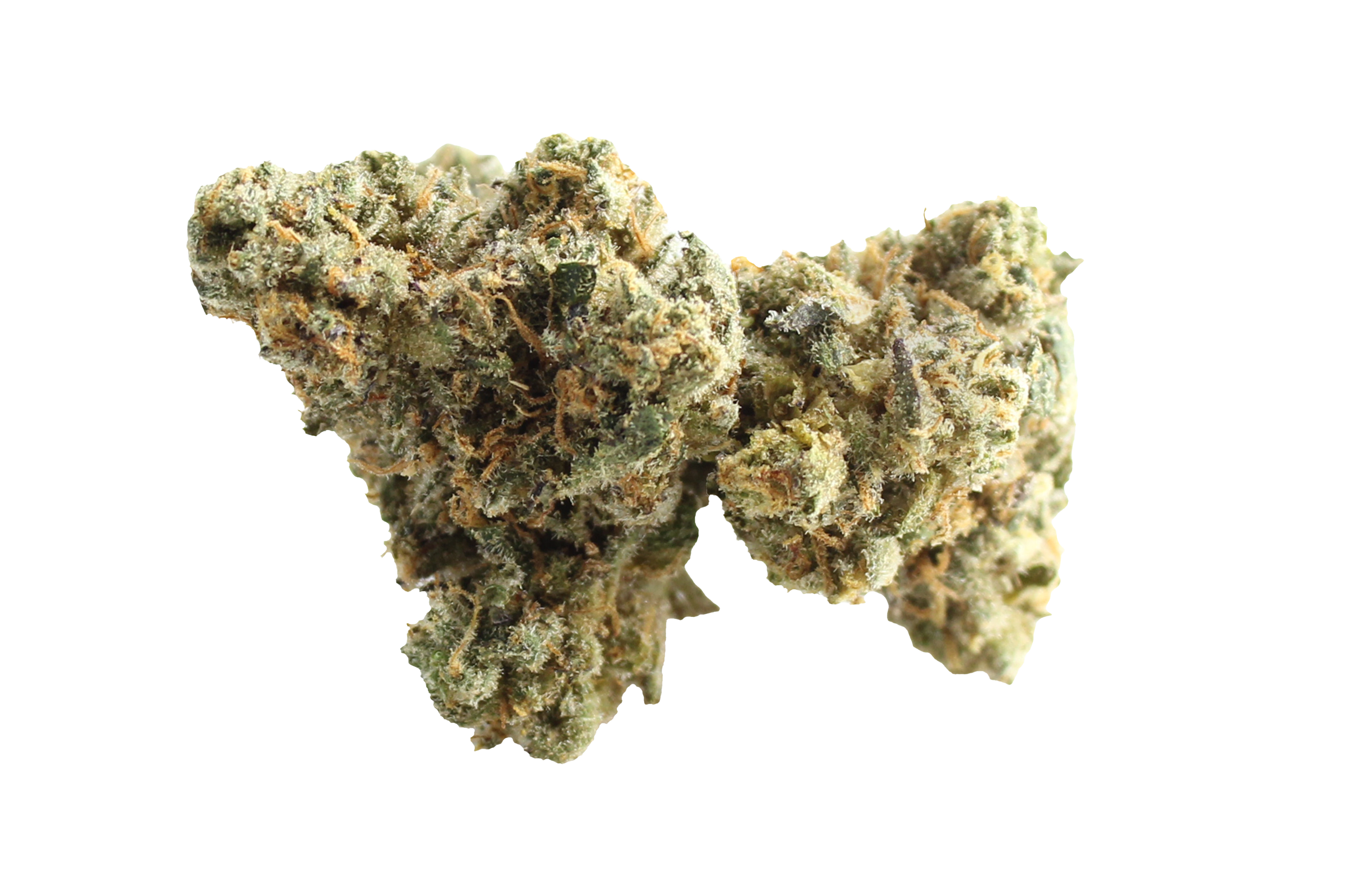 Four20Pharma 420 Evolution 30/1 CA FLM Frozen Lemon Mints Cannabisbluete