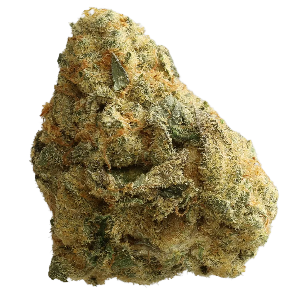 Cannamedical Indica Forte BC Banana Cream Cake