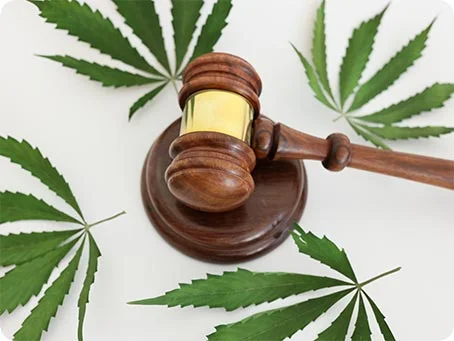Legalisierung von Cannabis - Was gilt ab dem 01 April 2024