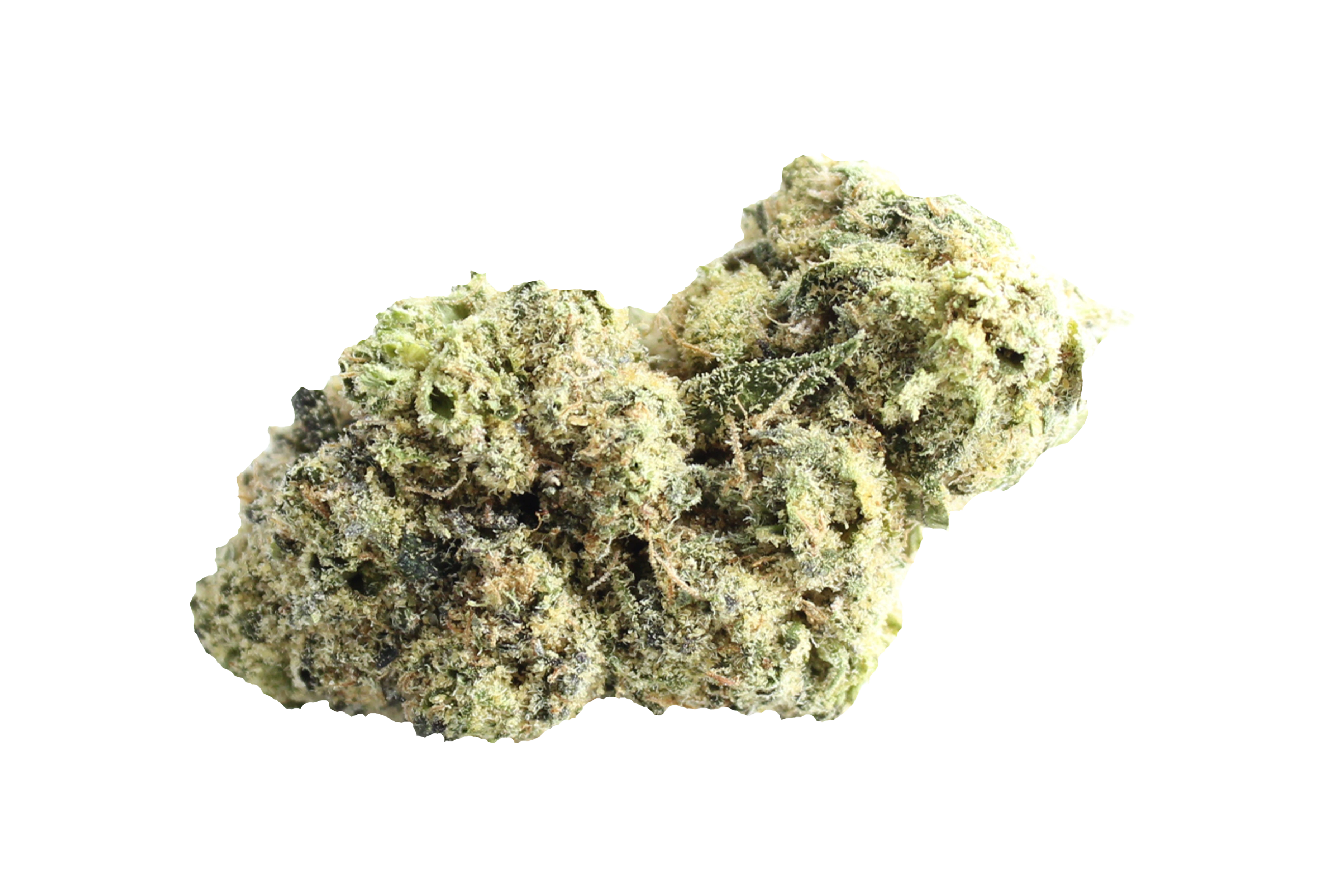 Montu Craft Botanics 27/1 White Runtz