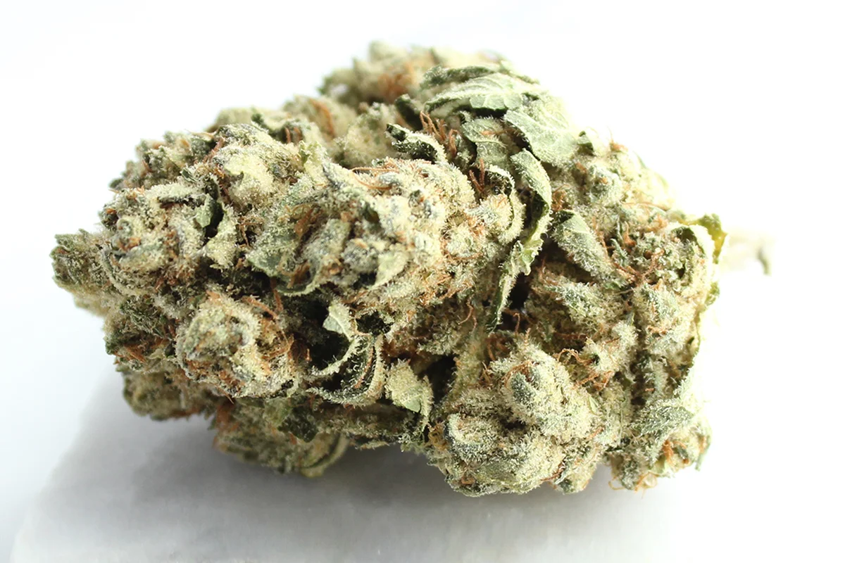 Enua 20/1 JFG CA Jet Fuel Gelato