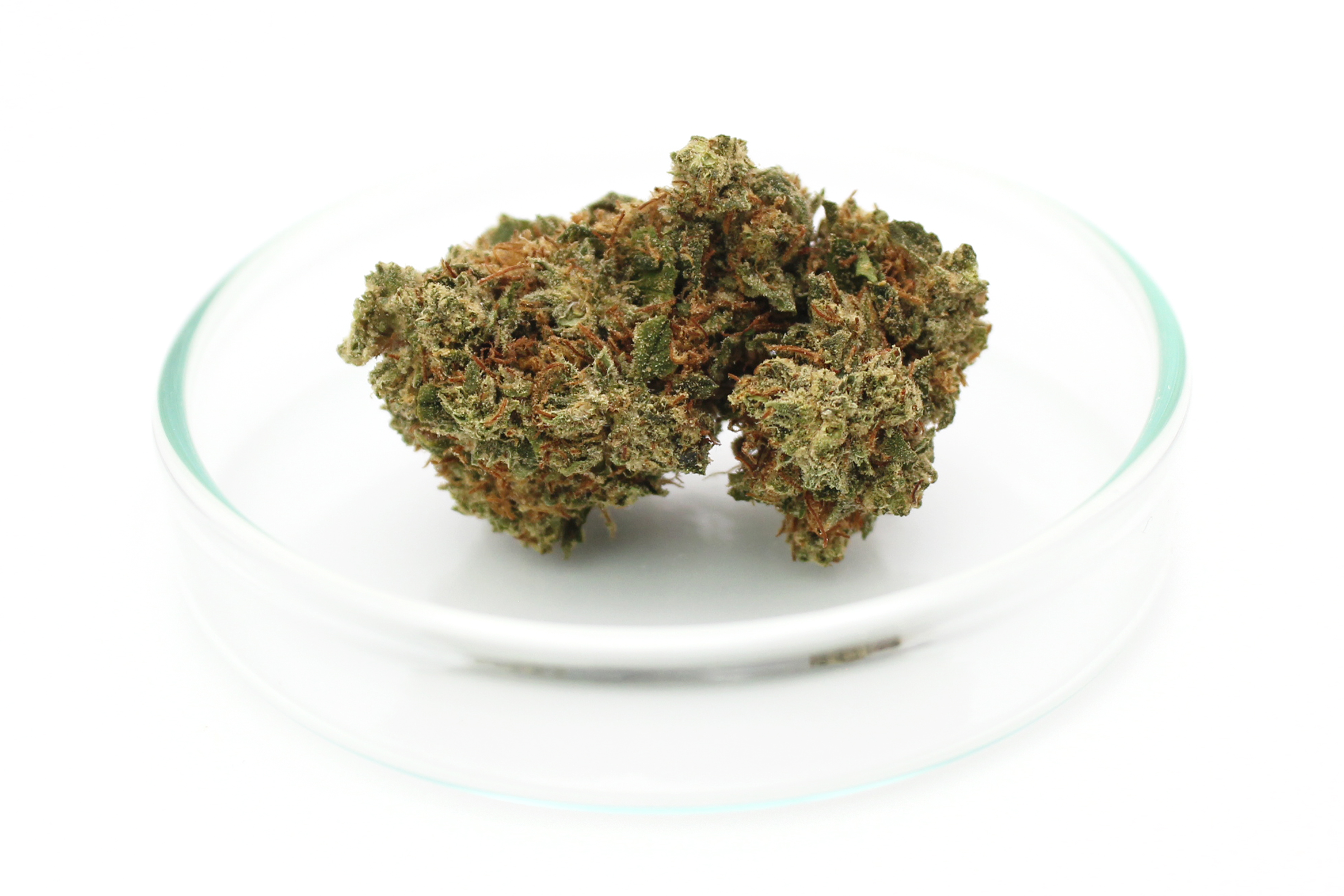 Pedanios 22/1: Ghost Train Haze
