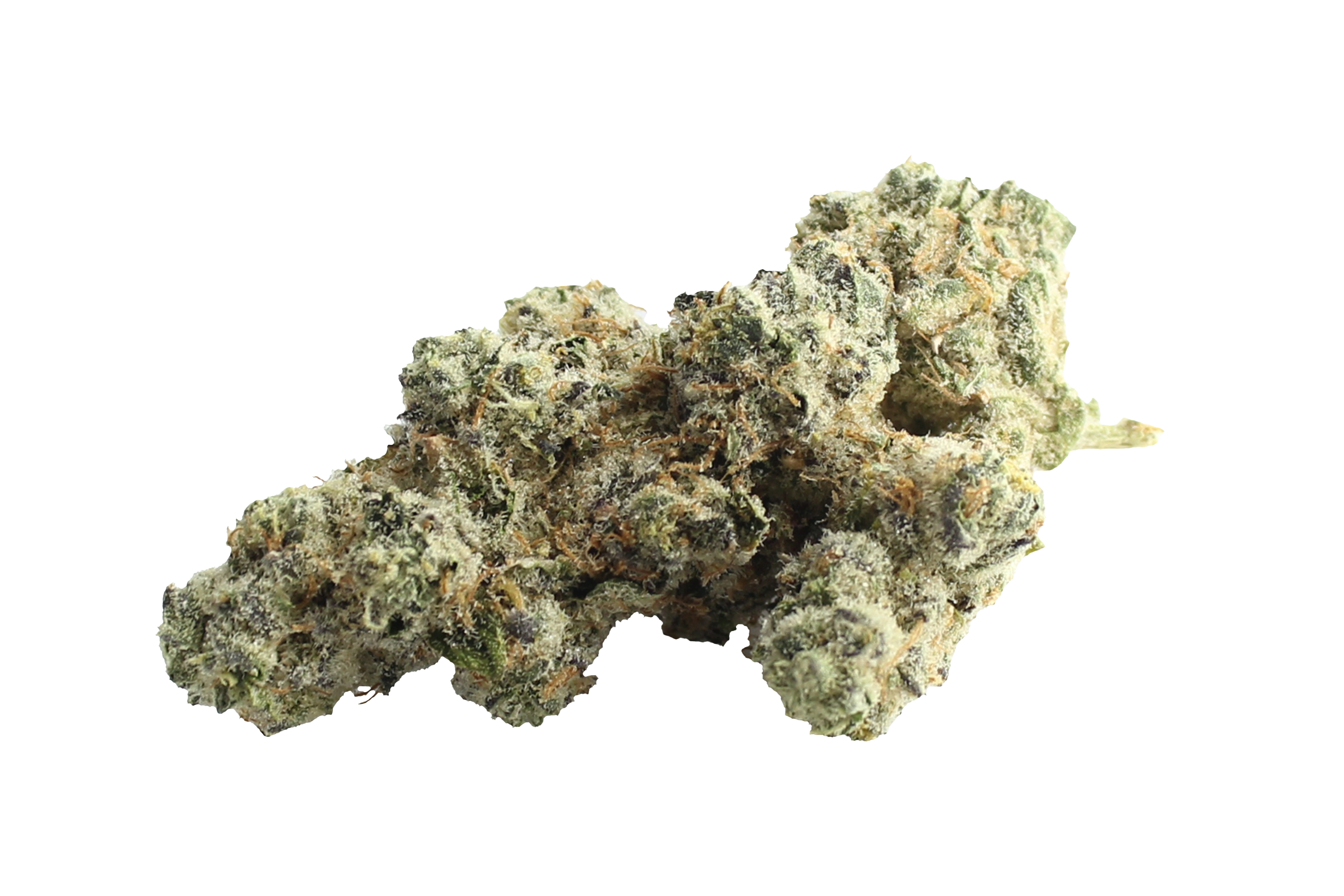 Four20Pharma 420 Evolution 30/1 CA WES Wedding Singer Cannabisbluete