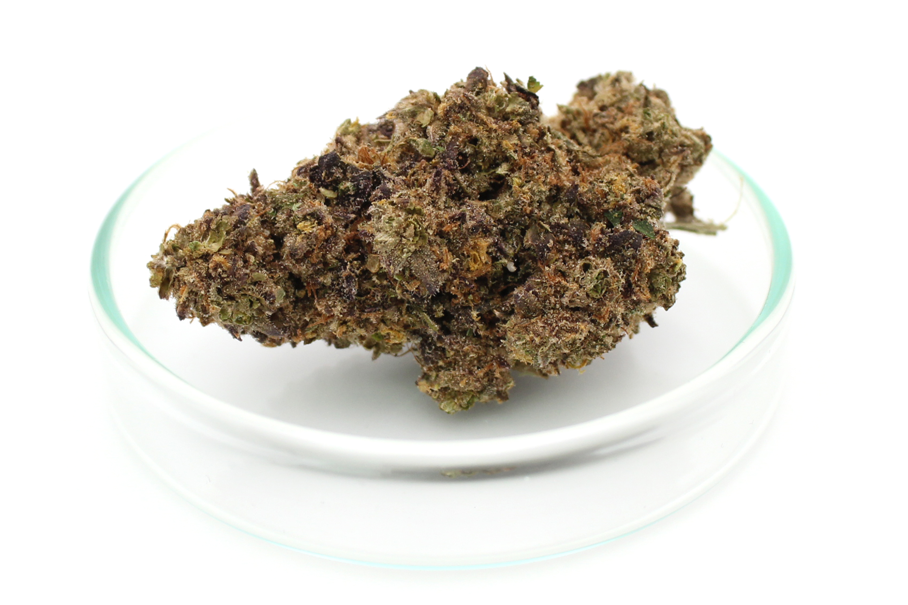 420 Evolution 25/1 CA FLM: Frozen Lemon Mints