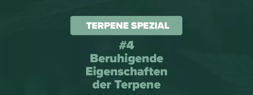 Beruhigend wirkende Terpene - GH Academy